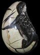 Septarian Dragon Egg Geode - Black Crystals #54576-1